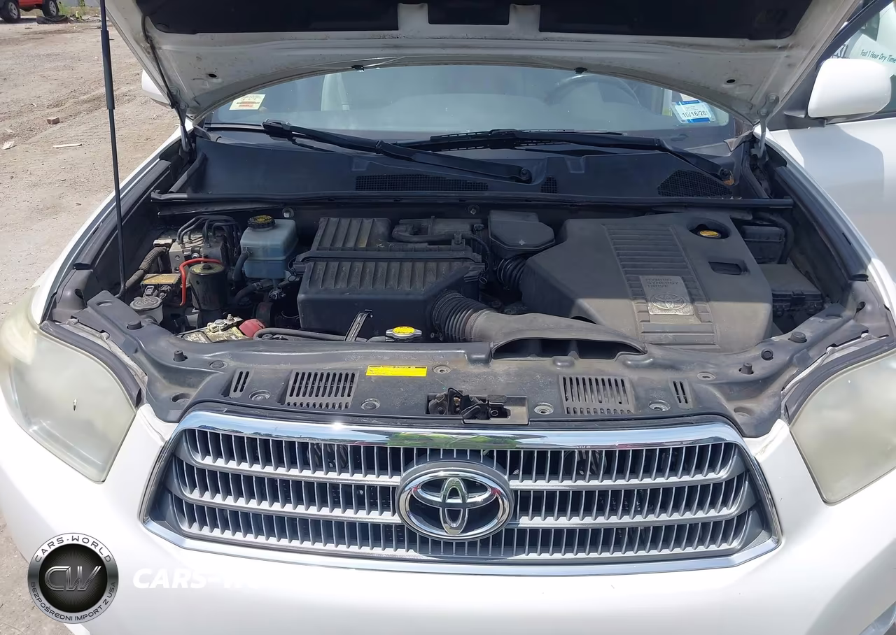 2010 Toyota Highlander Hybrid Limited V6 VIN:JTEJW3EHXA2045791 - 10