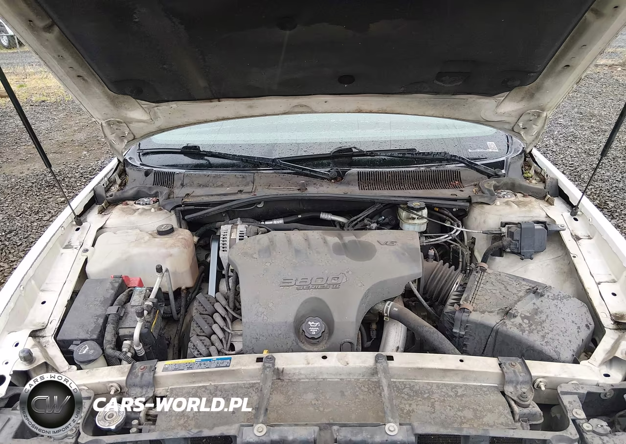 2004 Buick Lesabre Custom VIN:1G4HP52K844105406 - 10