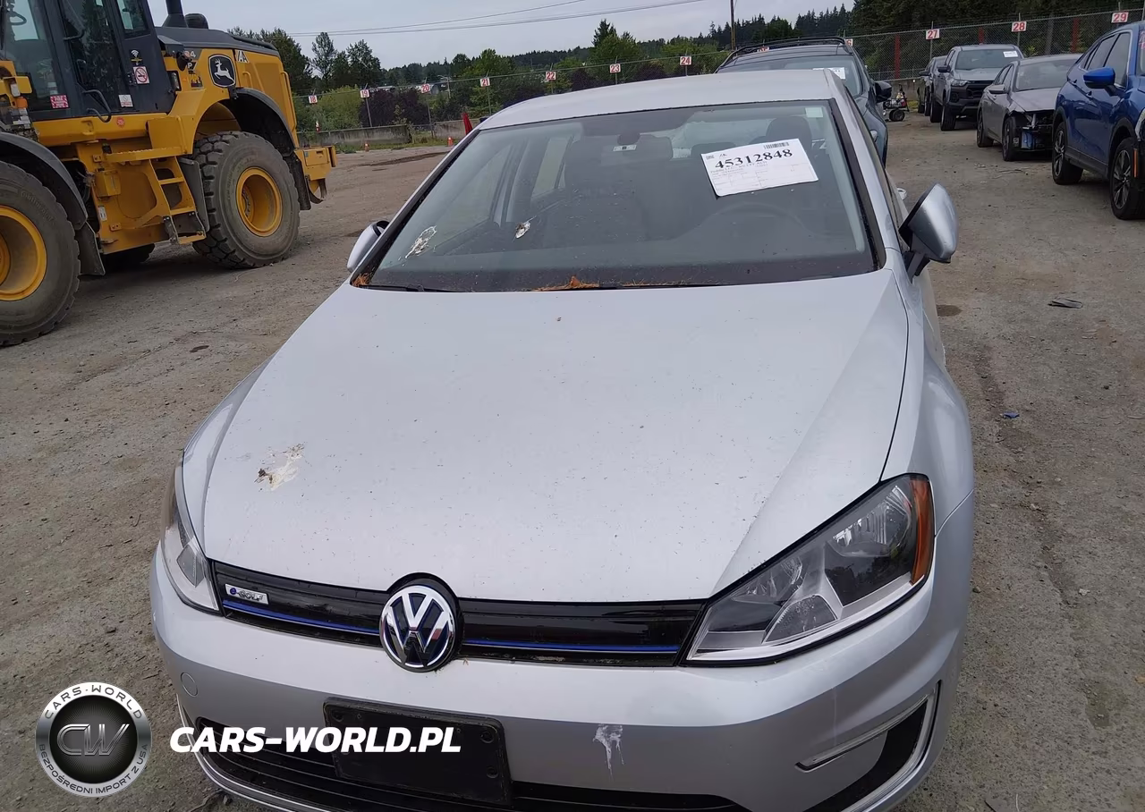2016 Volkswagen E-Golf Se VIN:WVWKP7AU8GW903714 - 6