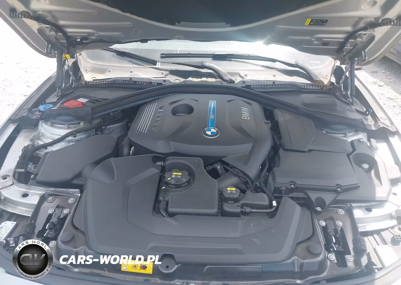 2018 BMW 330E VIN:WBA8E1C55JA762976 - 10