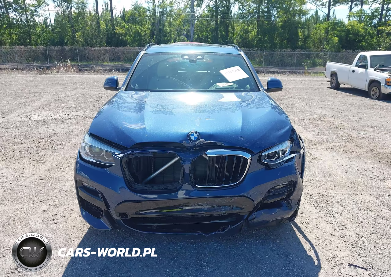 2021 BMW X3 xDrive30I VIN:5UXTY5C01M9G65958 - 12