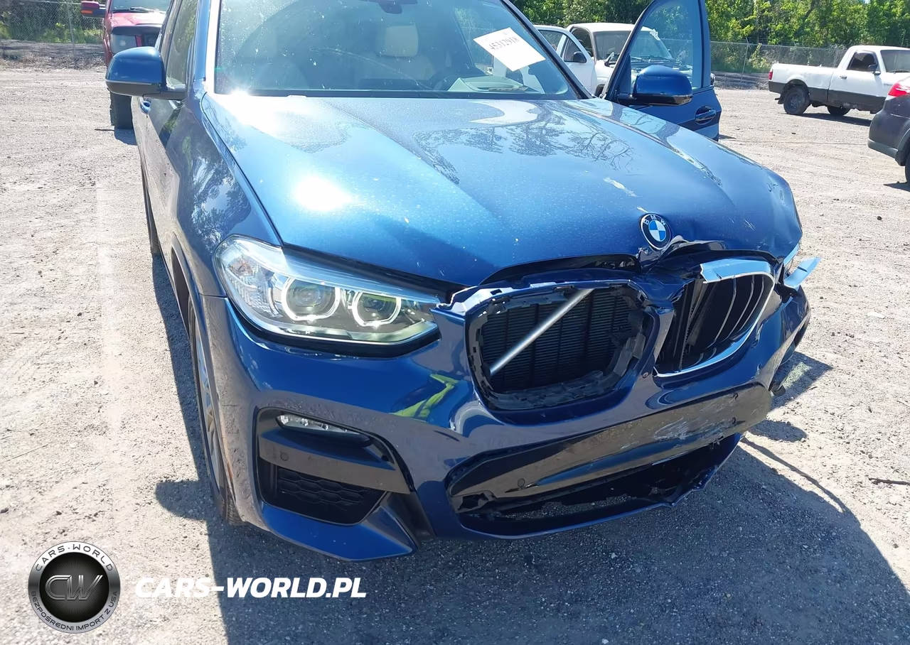 2021 BMW X3 xDrive30I VIN:5UXTY5C01M9G65958 - 6