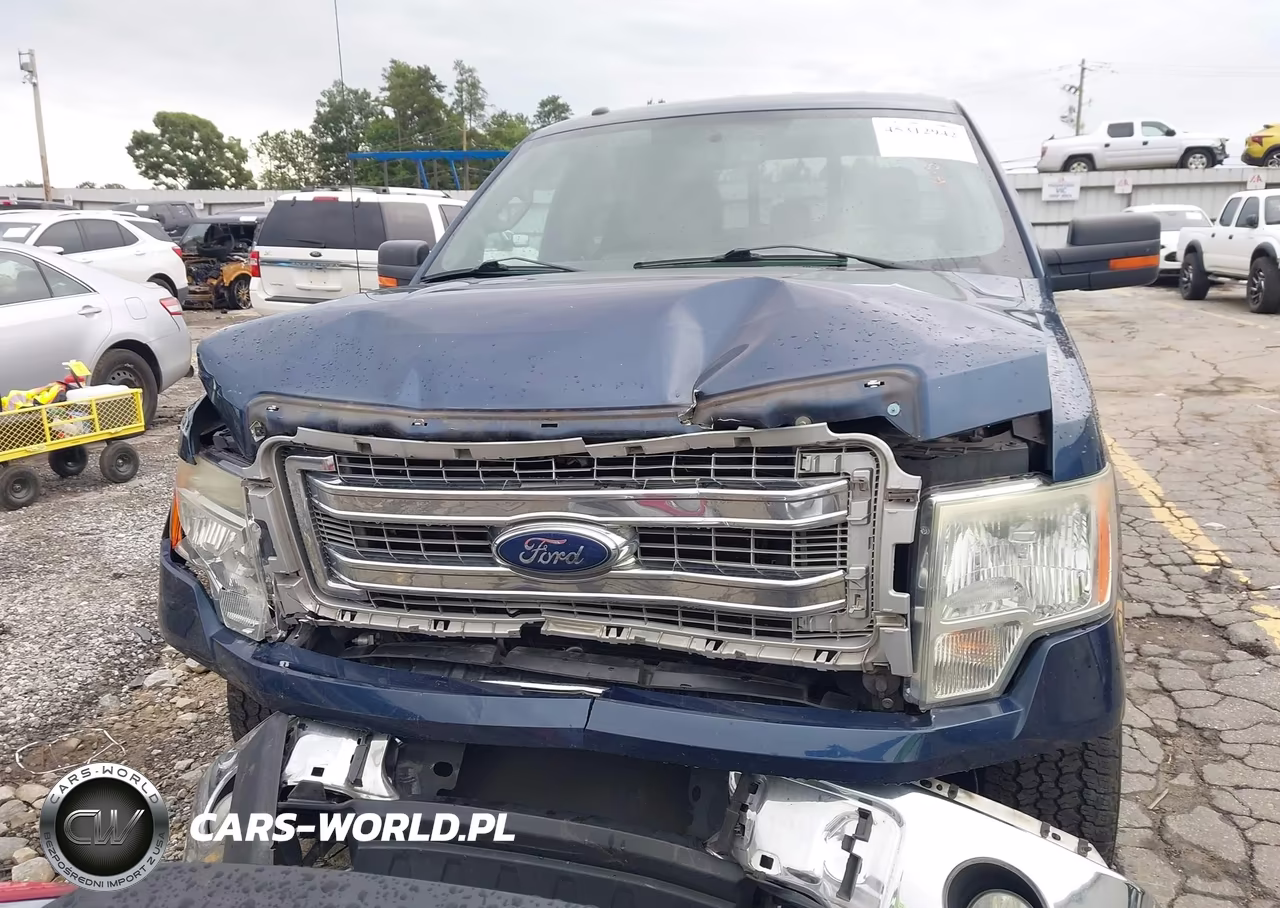 2014 Ford F-150 Xlt VIN:1FTFW1EF0EFB55115 - 12