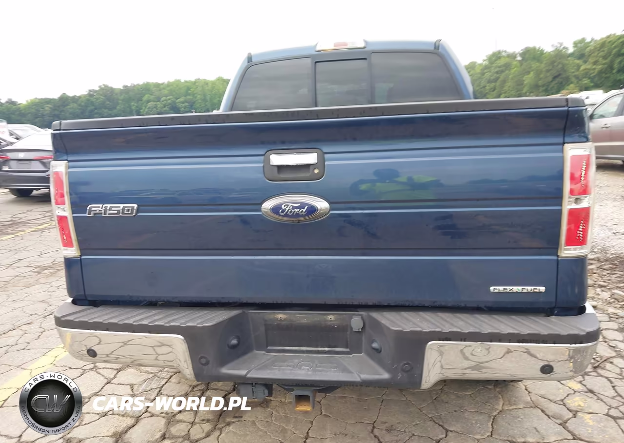 2014 Ford F-150 Xlt VIN:1FTFW1EF0EFB55115 - 16