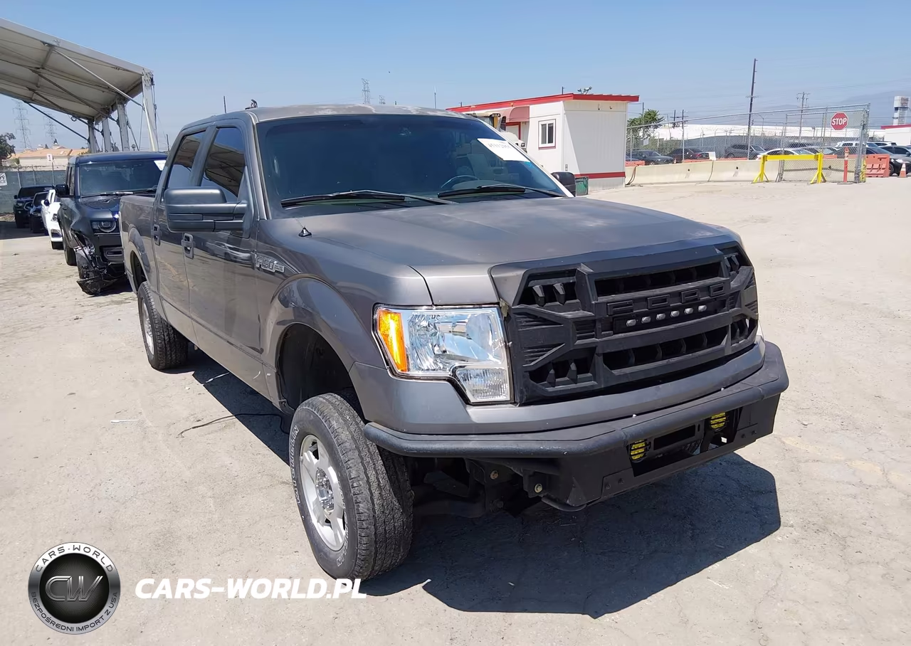 2010 Ford F-150 Xl-Xlt