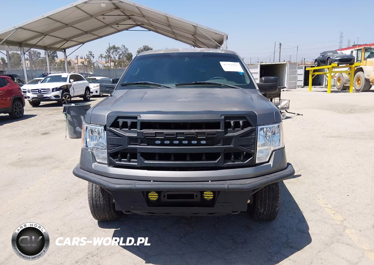 2010 Ford F-150 Xl-Xlt VIN:1FTEW1E84AKE55447 - 12