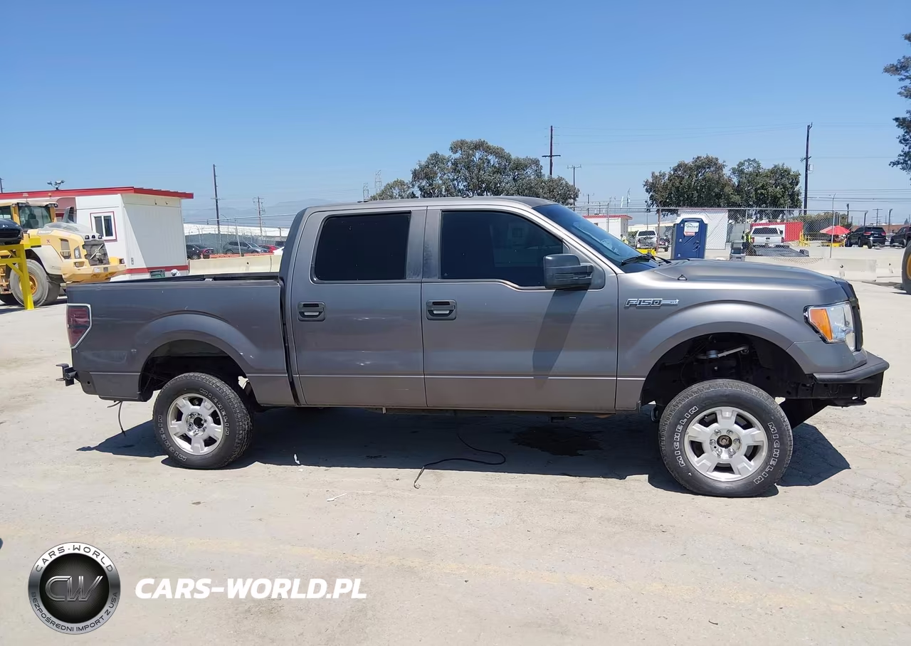 2010 Ford F-150 Xl-Xlt VIN:1FTEW1E84AKE55447 - 13