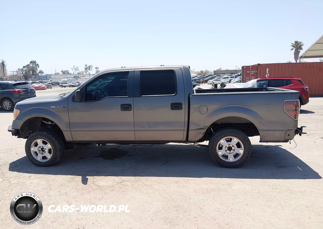 2010 Ford F-150 Xl-Xlt VIN:1FTEW1E84AKE55447 - 14