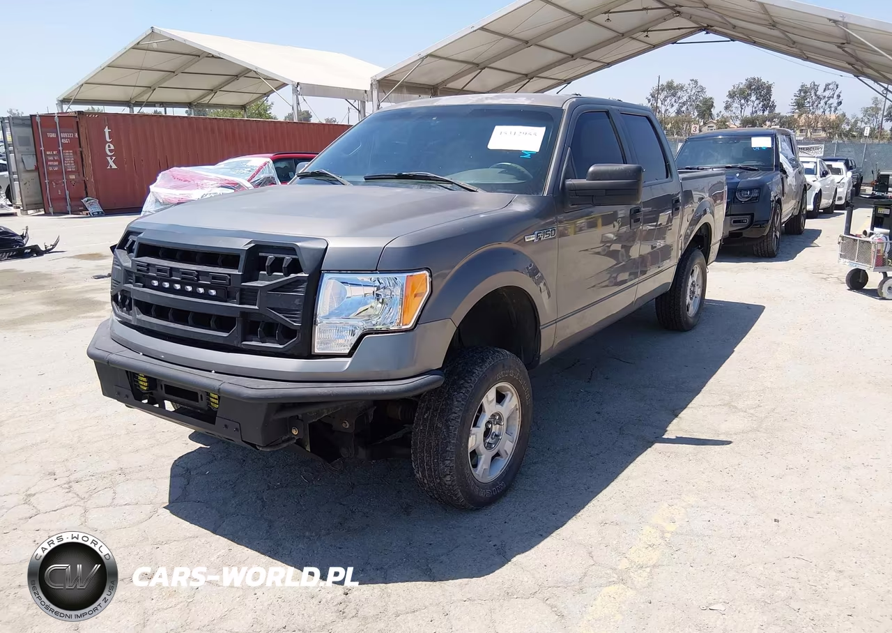 2010 Ford F-150 Xl-Xlt VIN:1FTEW1E84AKE55447 - 2