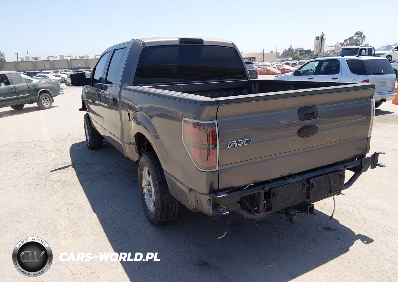 2010 Ford F-150 Xl-Xlt VIN:1FTEW1E84AKE55447 - 3