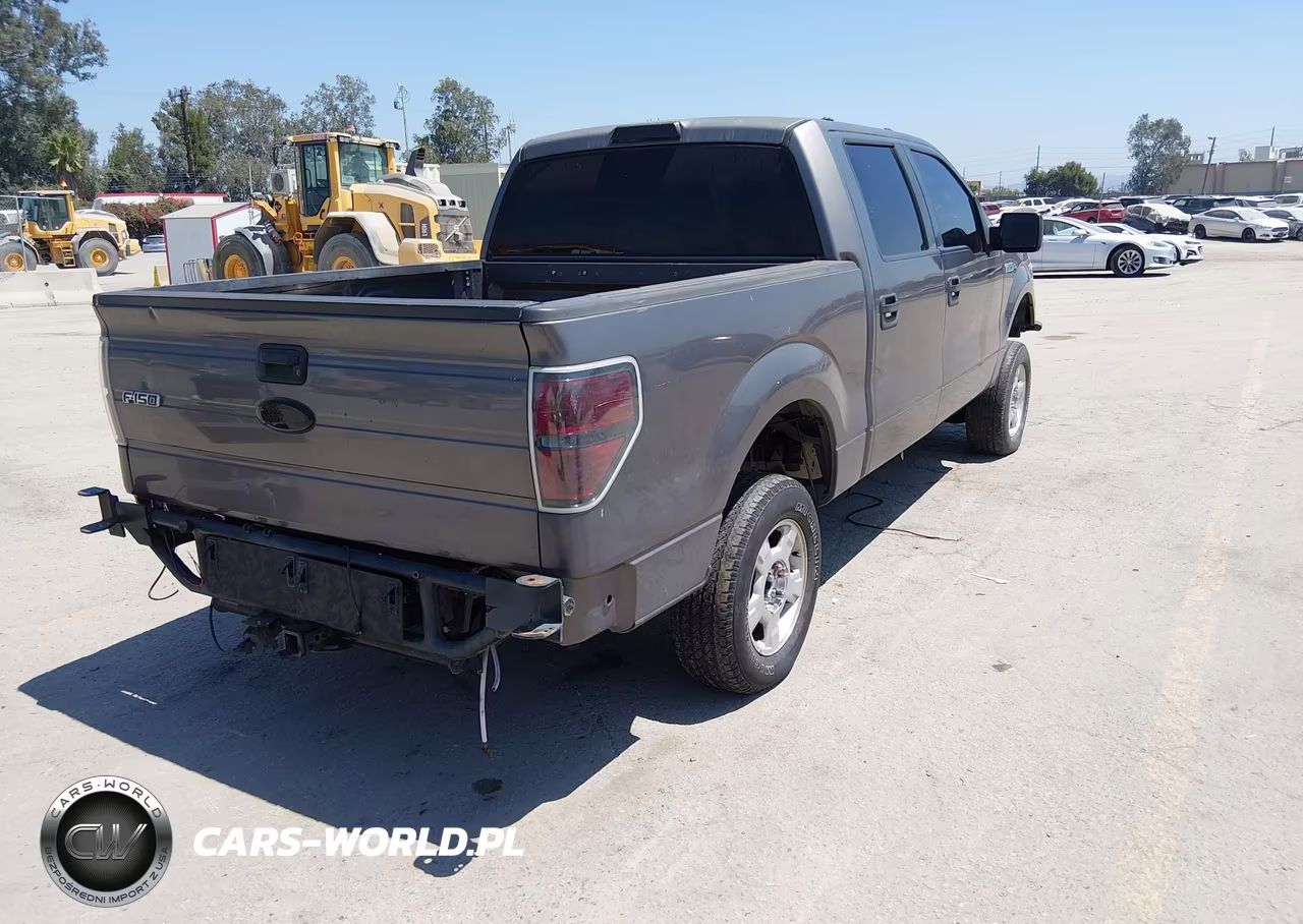 2010 Ford F-150 Xl-Xlt VIN:1FTEW1E84AKE55447 - 4
