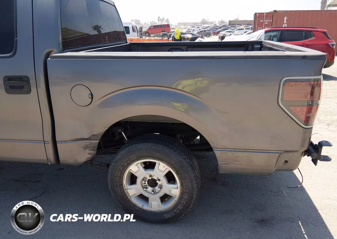 2010 Ford F-150 Xl-Xlt VIN:1FTEW1E84AKE55447 - 6