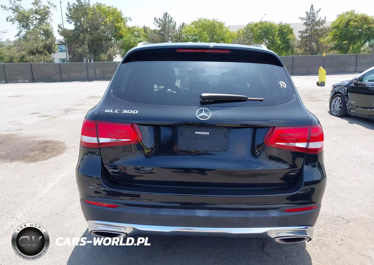 2019 Mercedes-Benz Glc 300 VIN:WDC0G4JB7KF607218 - 17