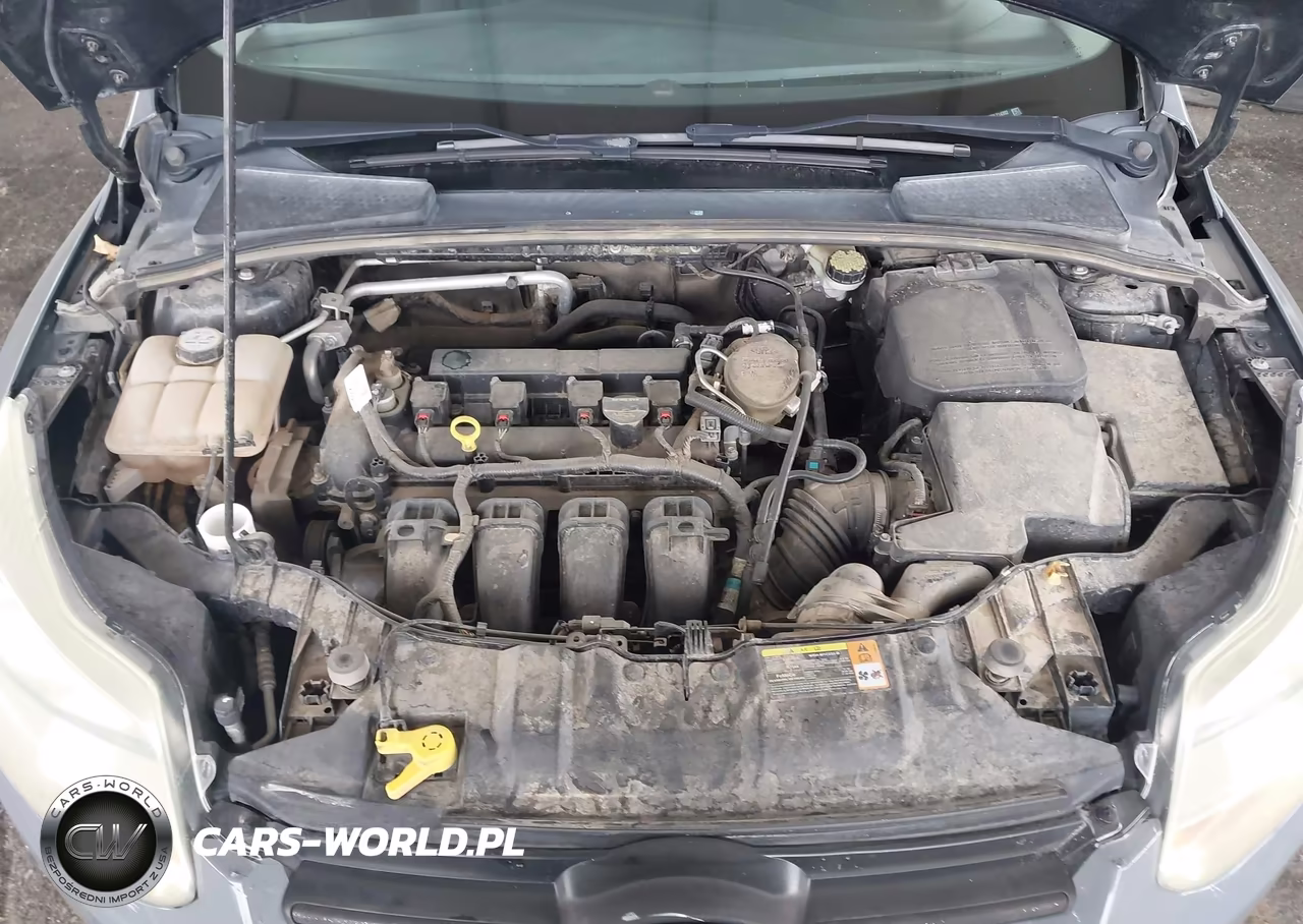 2013 Ford Focus Se VIN:1FADP3K22DL214382 - 10