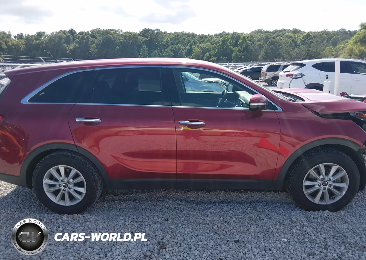 2020 Kia Sorento 3.3L Lx VIN:5XYPG4A55LG641493 - 13