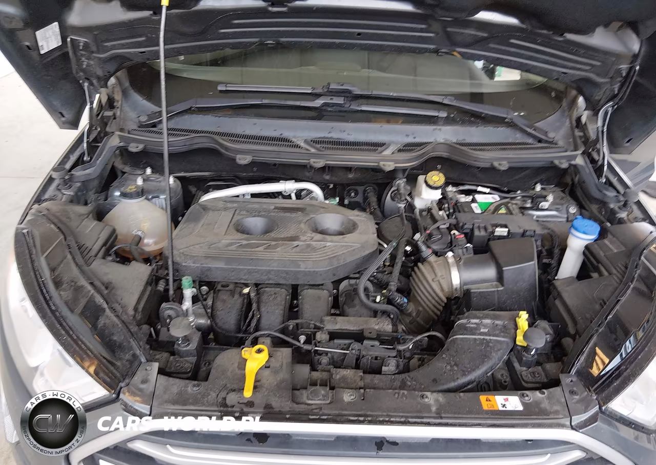 2020 Ford Ecosport Se VIN:MAJ6S3GL0LC344877 - 10