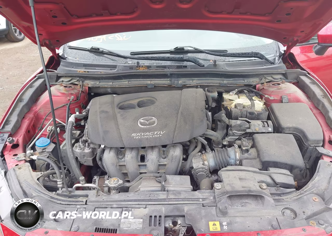2016 Mazda Mazda3 I Sport VIN:JM1BM1J79G1331291 - 10