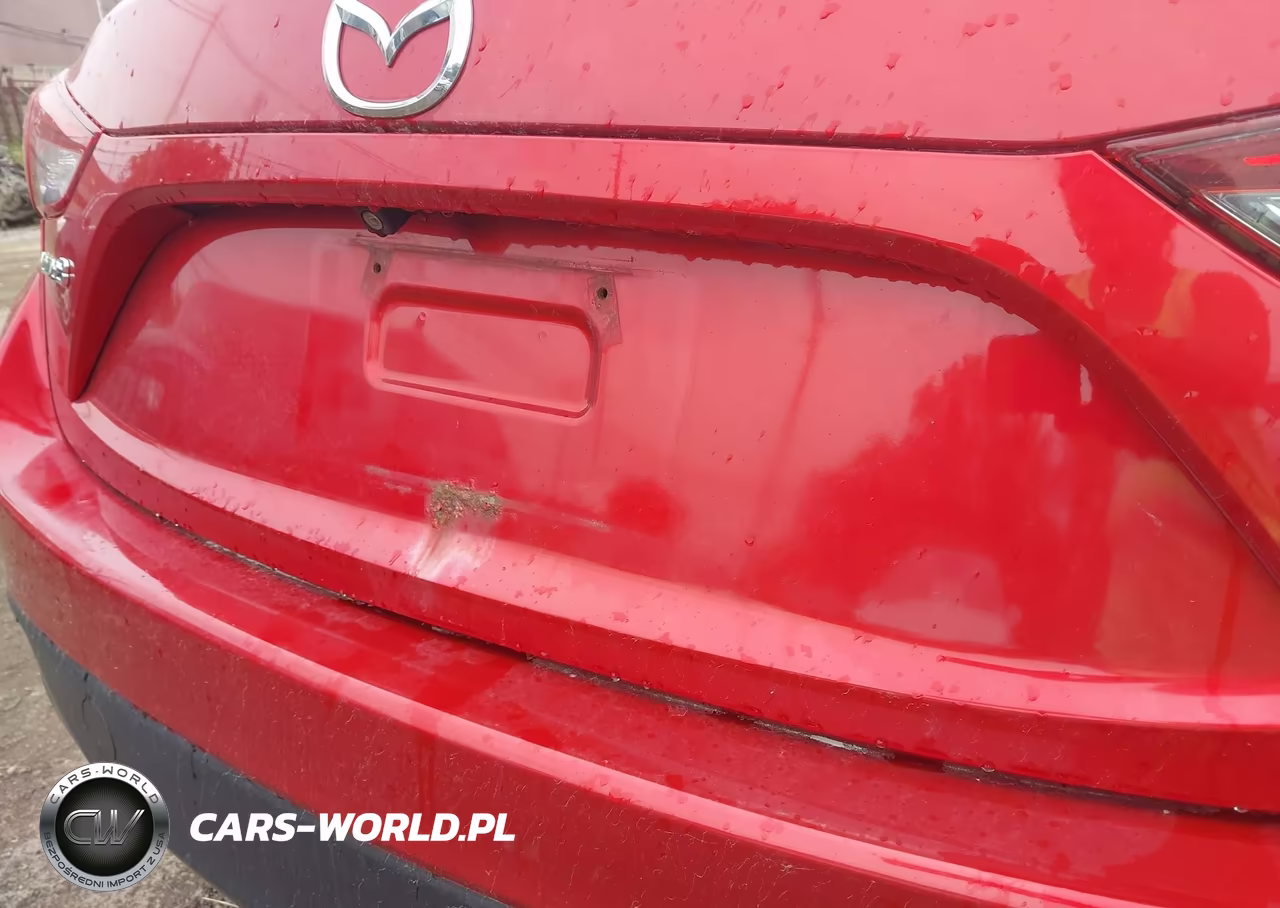 2016 Mazda Mazda3 I Sport VIN:JM1BM1J79G1331291 - 6