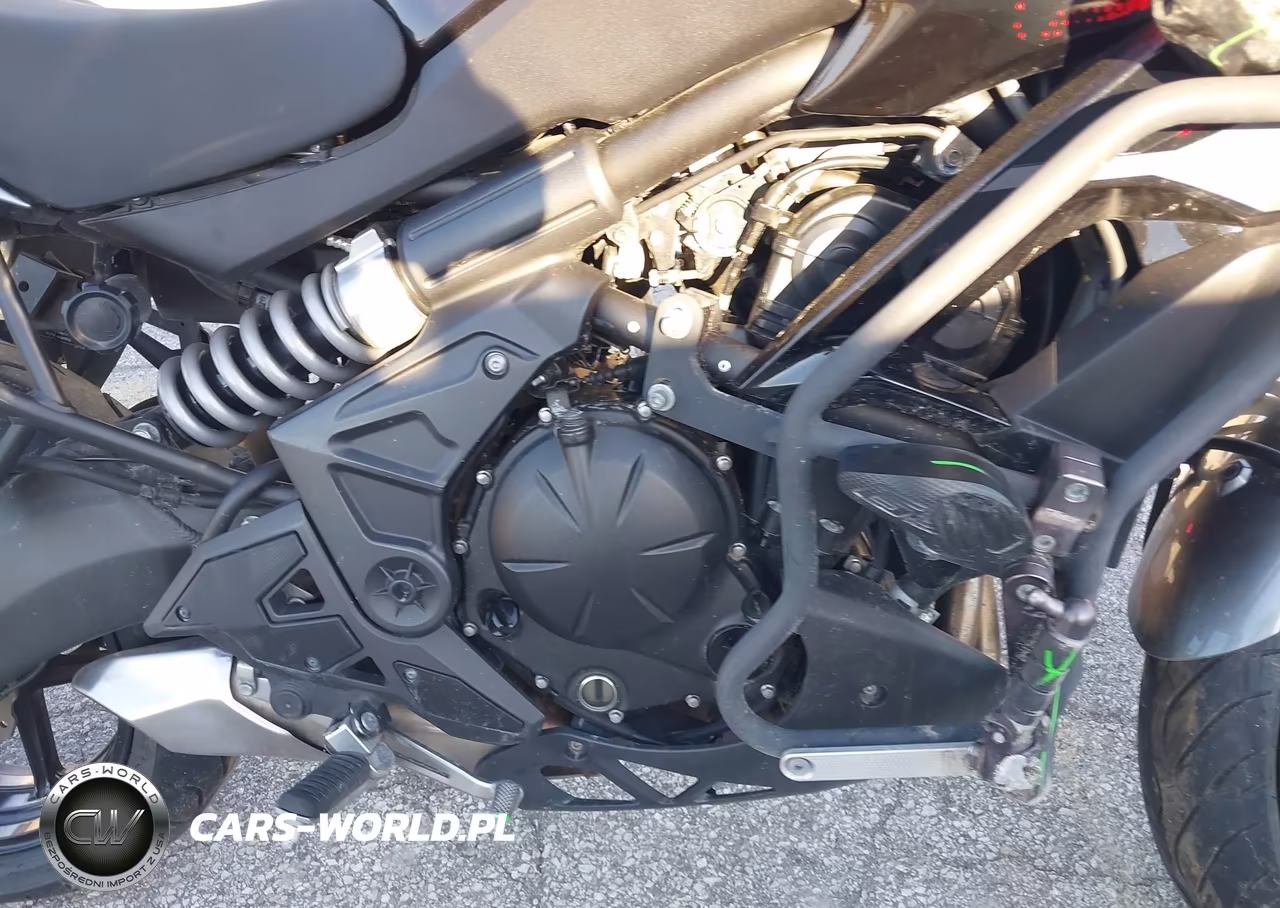 2021 Kawasaki Kle650 F VIN:JKALEEF12MDA47876 - 8
