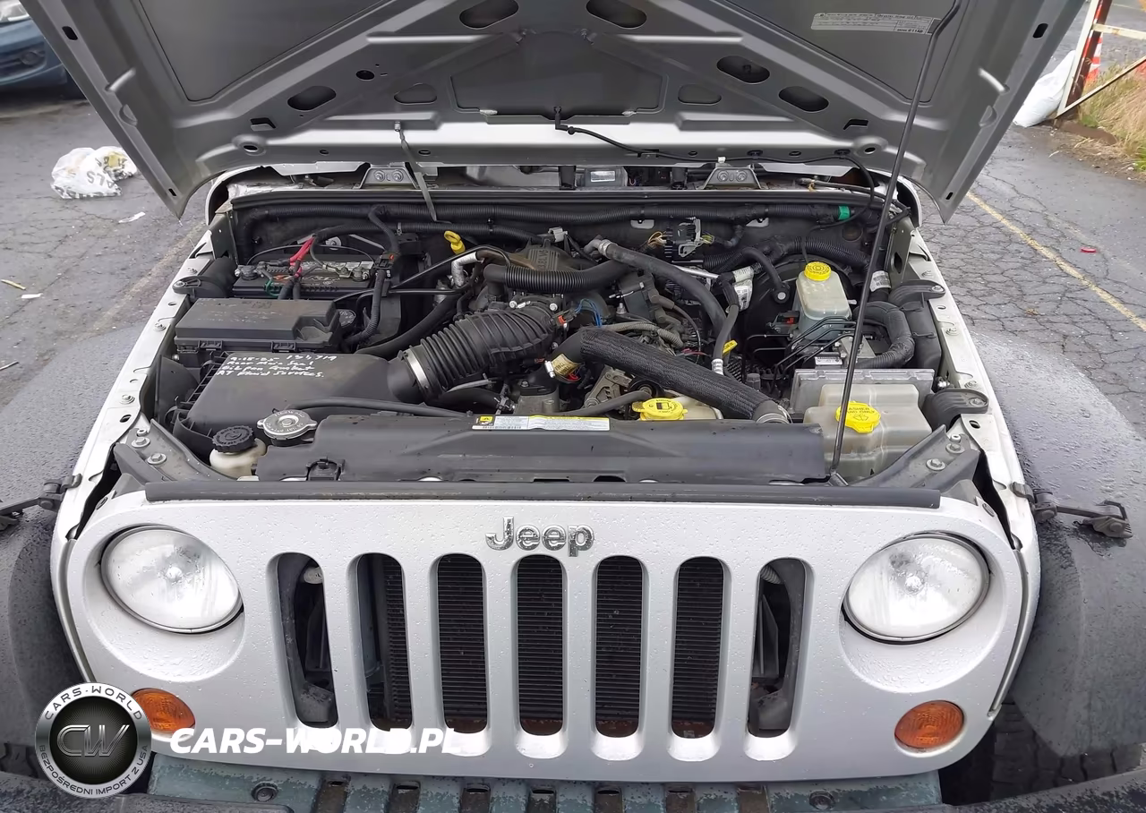 2010 Jeep Wrangler Unlimited Sport VIN:1J4BB3H18AL106921 - 10