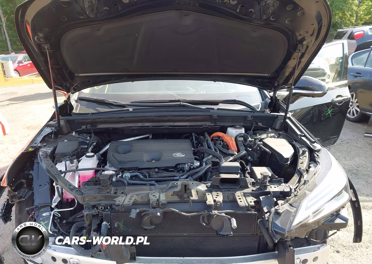 2025 Lexus Nx 350H Luxury VIN:2T2HKCEZ1SC041571 - 10