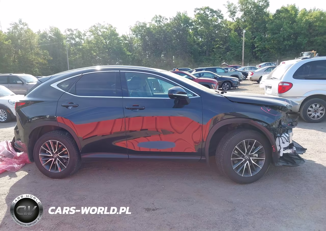 2025 Lexus Nx 350H Luxury VIN:2T2HKCEZ1SC041571 - 14