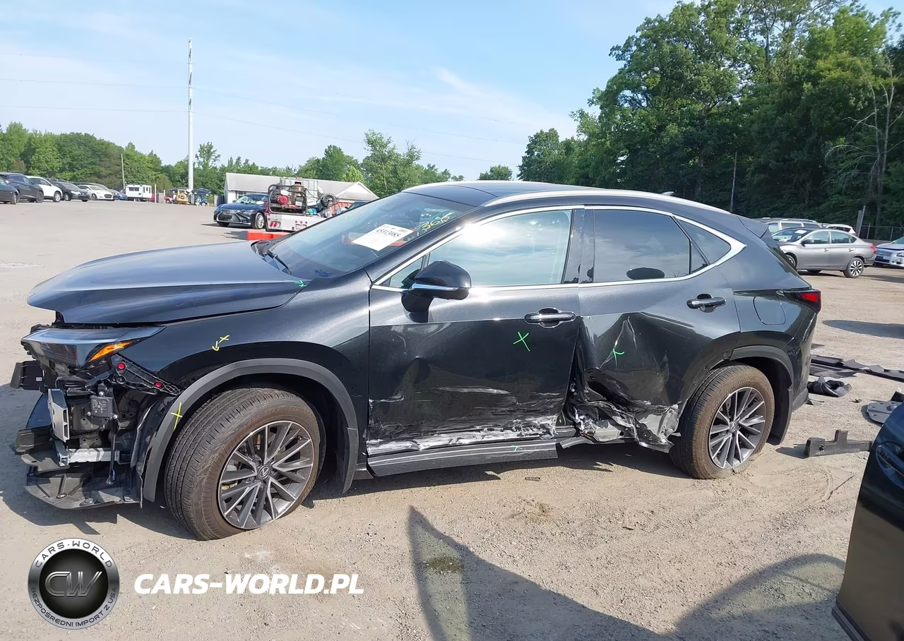 2025 Lexus Nx 350H Luxury VIN:2T2HKCEZ1SC041571 - 15