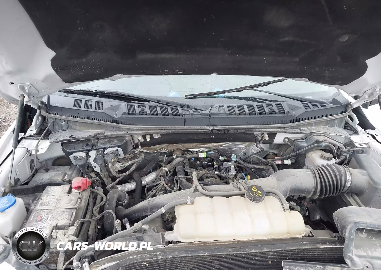 2019 Ford F-150 Xlt VIN:1FTEW1EP1KFD03725 - 10