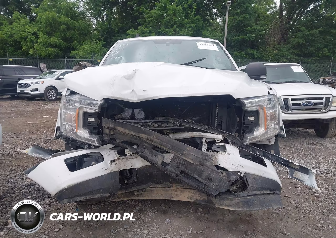 2019 Ford F-150 Xlt VIN:1FTEW1EP1KFD03725 - 12