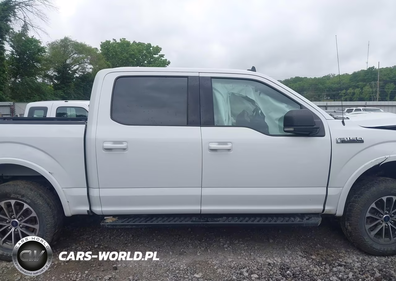 2019 Ford F-150 Xlt VIN:1FTEW1EP1KFD03725 - 13