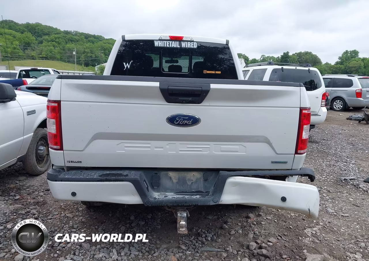 2019 Ford F-150 Xlt VIN:1FTEW1EP1KFD03725 - 16