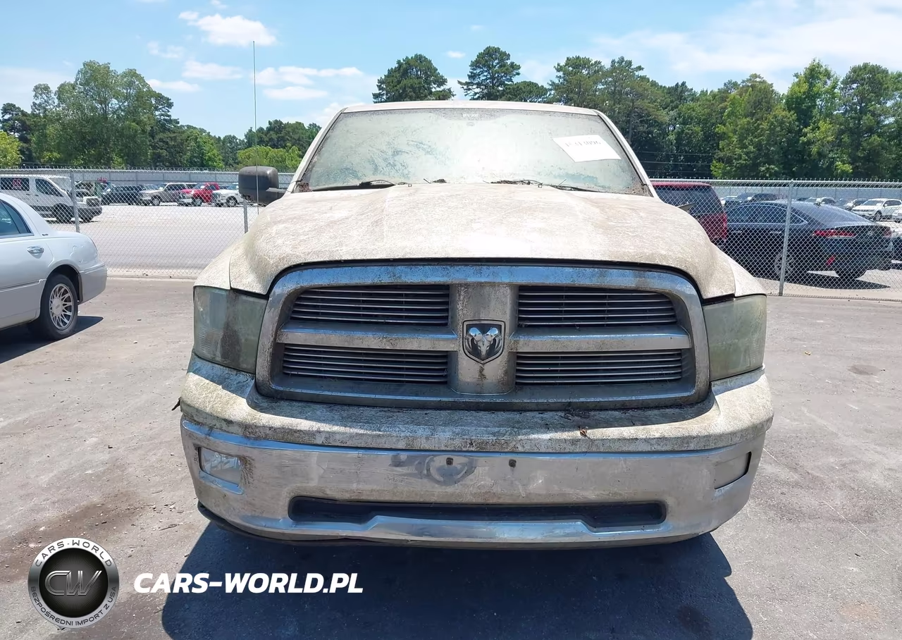 2010 Dodge Ram 1500 Slt-Sport-Trx VIN:1D7RV1GT6AS216977 - 12