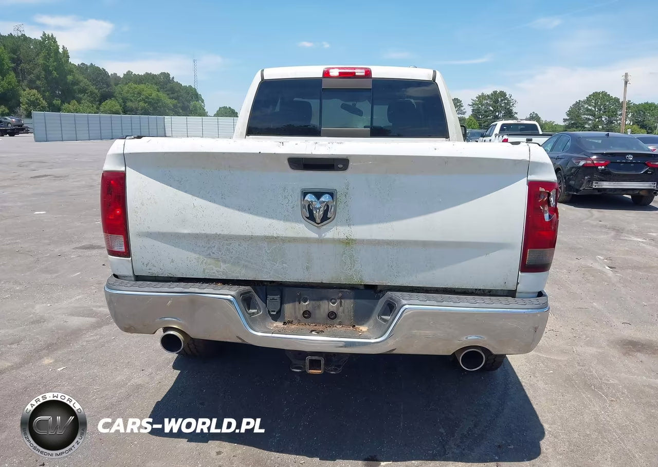 2010 Dodge Ram 1500 Slt-Sport-Trx VIN:1D7RV1GT6AS216977 - 16