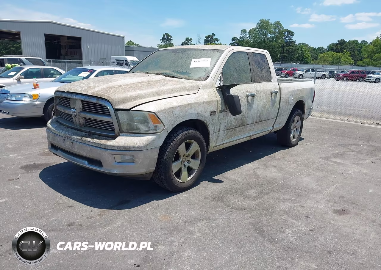 2010 Dodge Ram 1500 Slt-Sport-Trx VIN:1D7RV1GT6AS216977 - 2