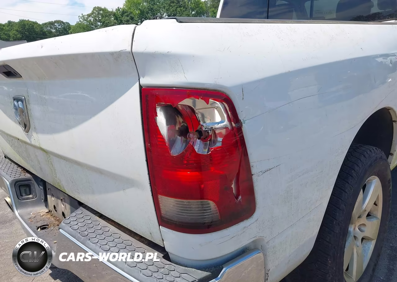 2010 Dodge Ram 1500 Slt-Sport-Trx VIN:1D7RV1GT6AS216977 - 20