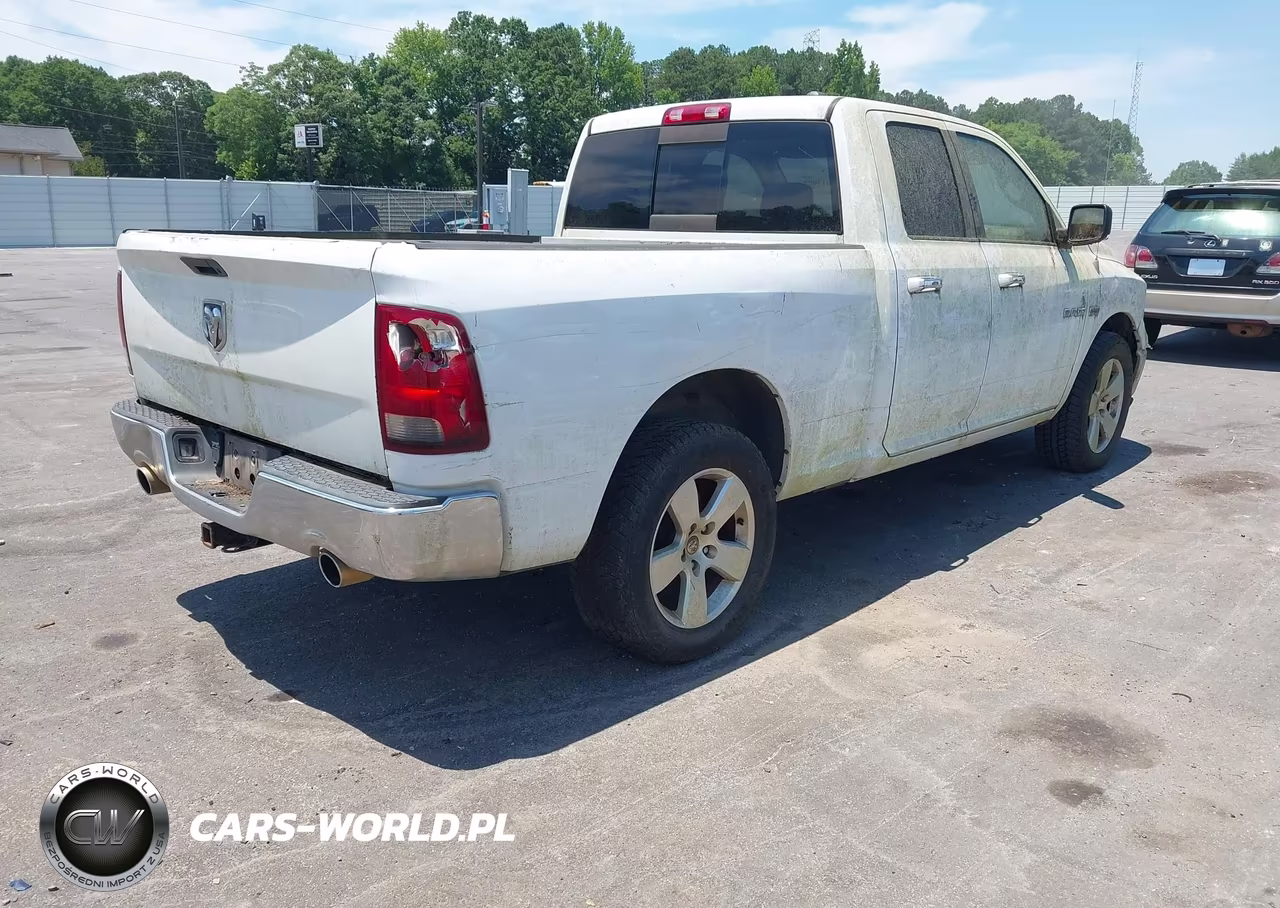 2010 Dodge Ram 1500 Slt-Sport-Trx VIN:1D7RV1GT6AS216977 - 4