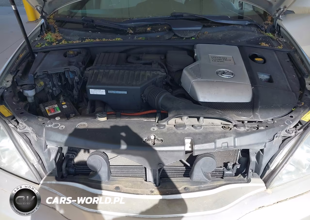 2006 Lexus Rx 400H VIN:JTJHW31UX62006211 - 10