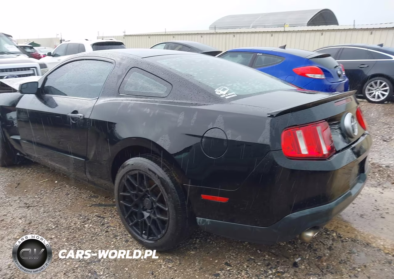 2011 Ford Mustang V6 VIN:1ZVBP8AM9B5151832 - 3
