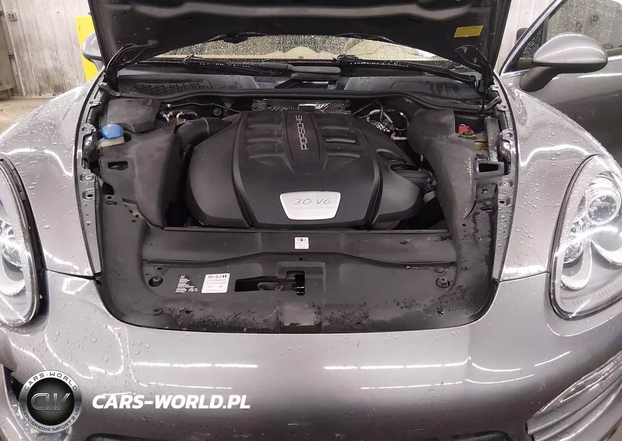 2013 Porsche Cayenne Diesel VIN:WP1AF2A25DLA42360 - 10