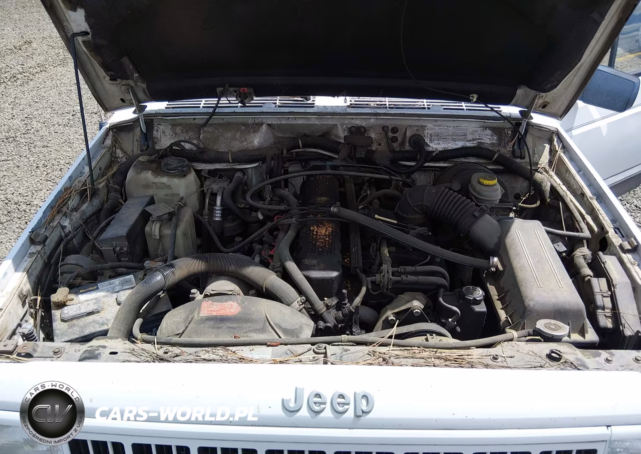 1995 Jeep Cherokee Country VIN:1J4FJ78SXSL566927 - 10