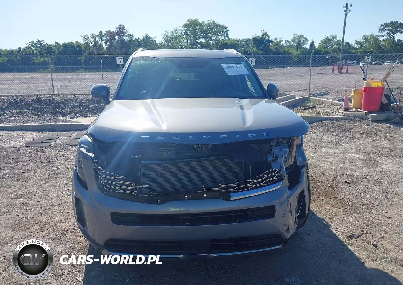 2021 Kia Telluride Ex VIN:5XYP34HC4MG173659 - 12