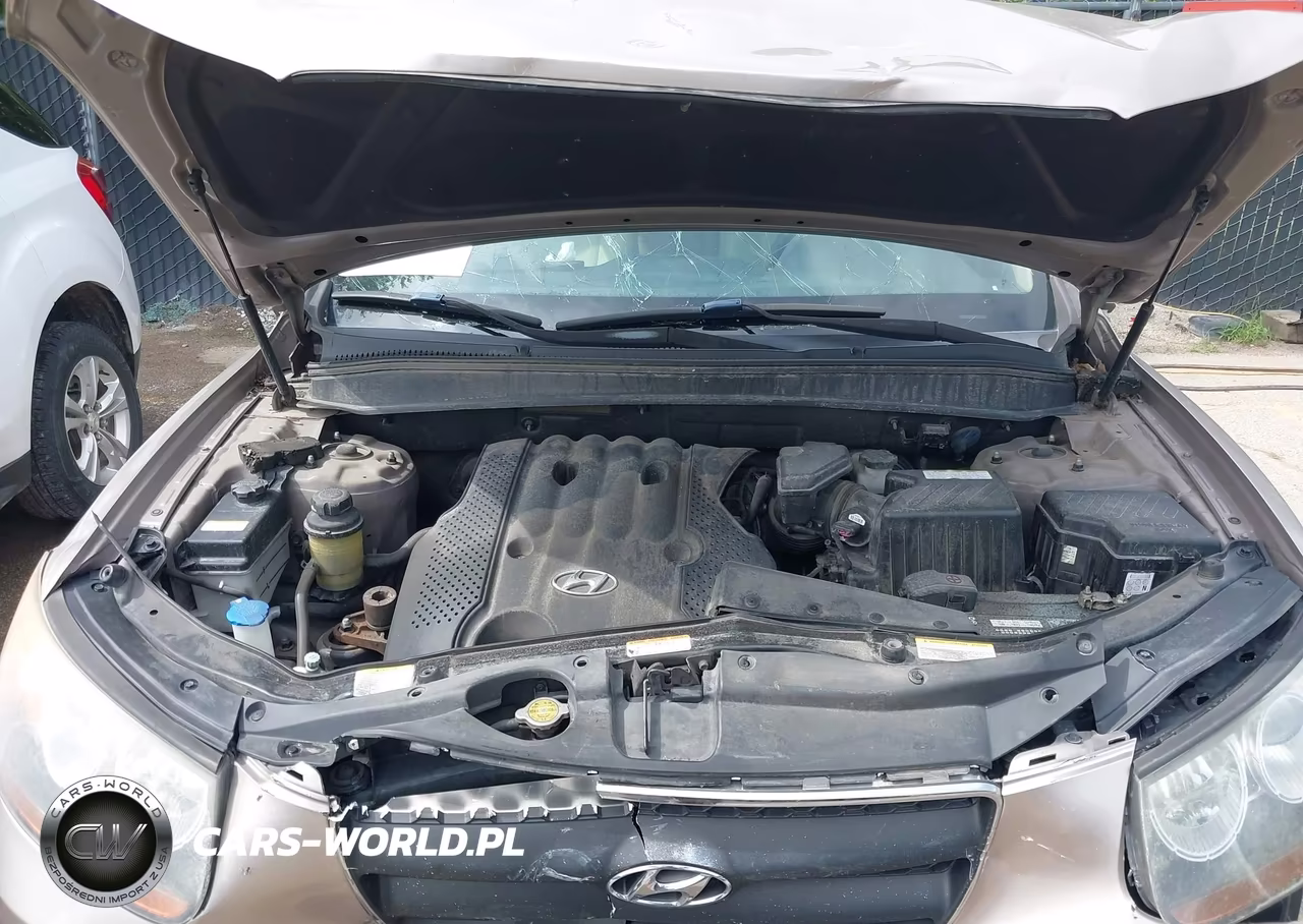 2007 Hyundai Santa Fe Gls VIN:5NMSG13D67H110988 - 10