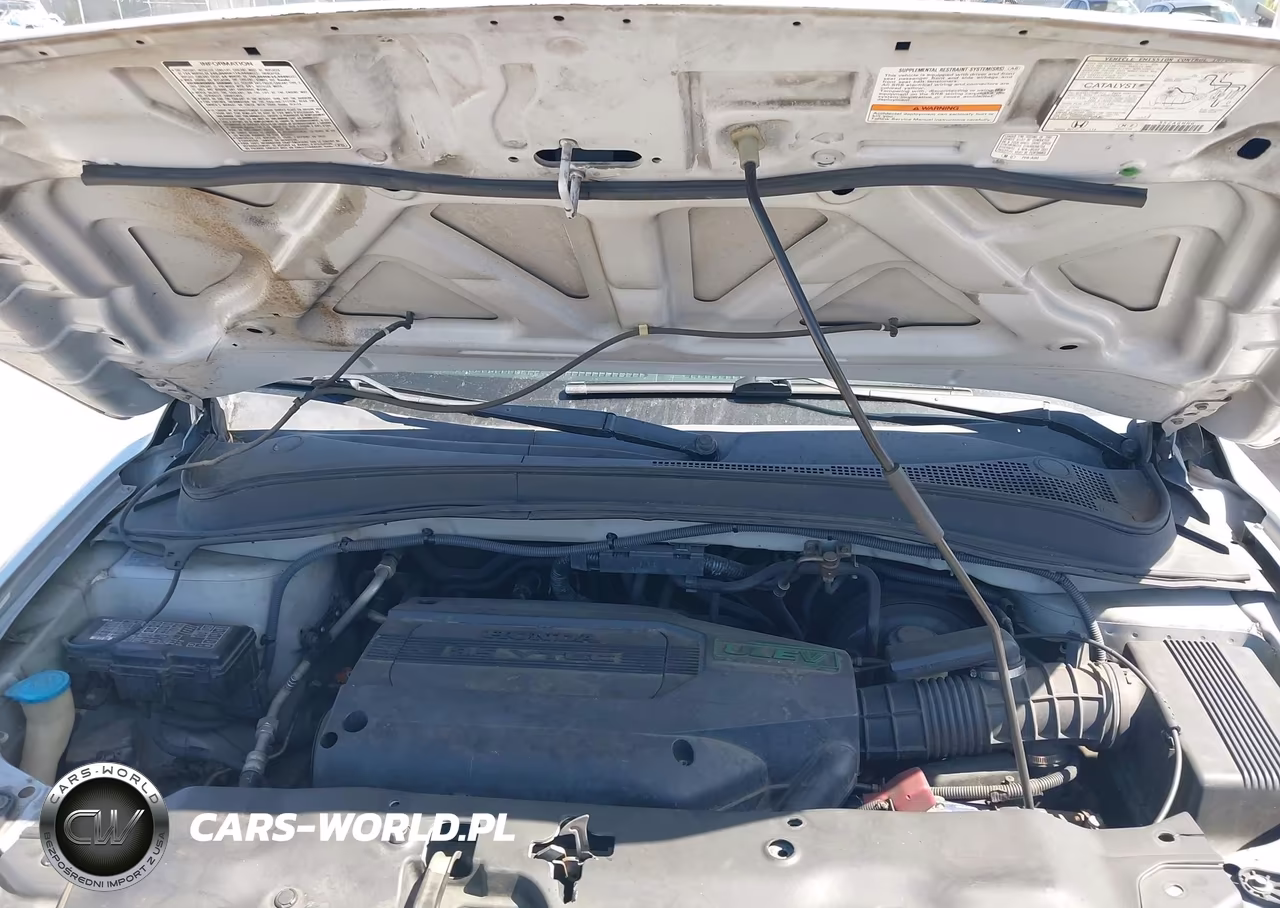 2003 Honda Pilot Ex VIN:2HKYF18443H620680 - 10