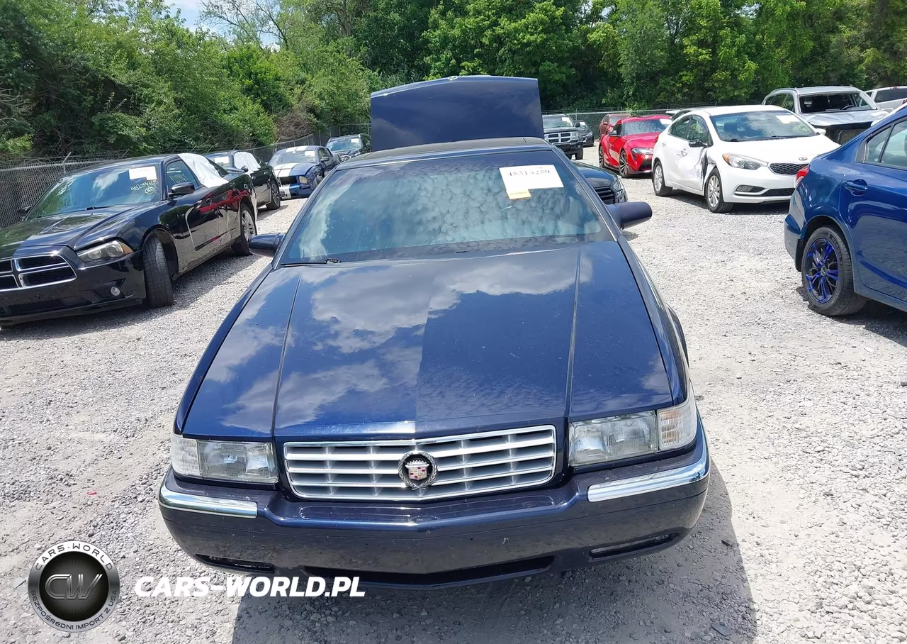 1998 Cadillac Eldorado Standard VIN:1G6EL12Y9WU602972 - 12