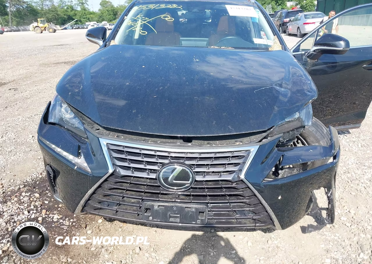 2021 Lexus Nx 300 VIN:JTJDARDZ7M2246045 - 10