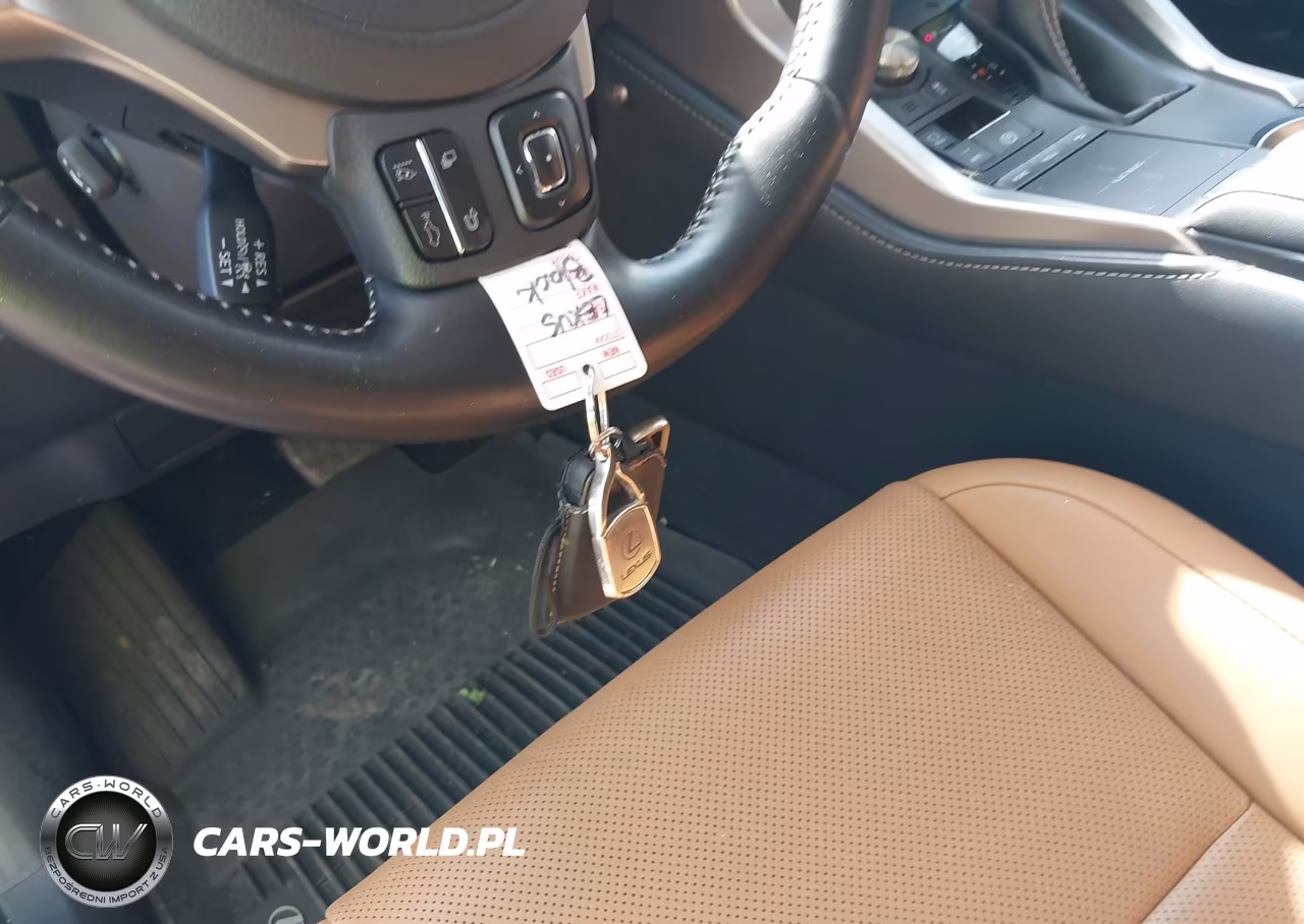 2021 Lexus Nx 300 VIN:JTJDARDZ7M2246045 - 11