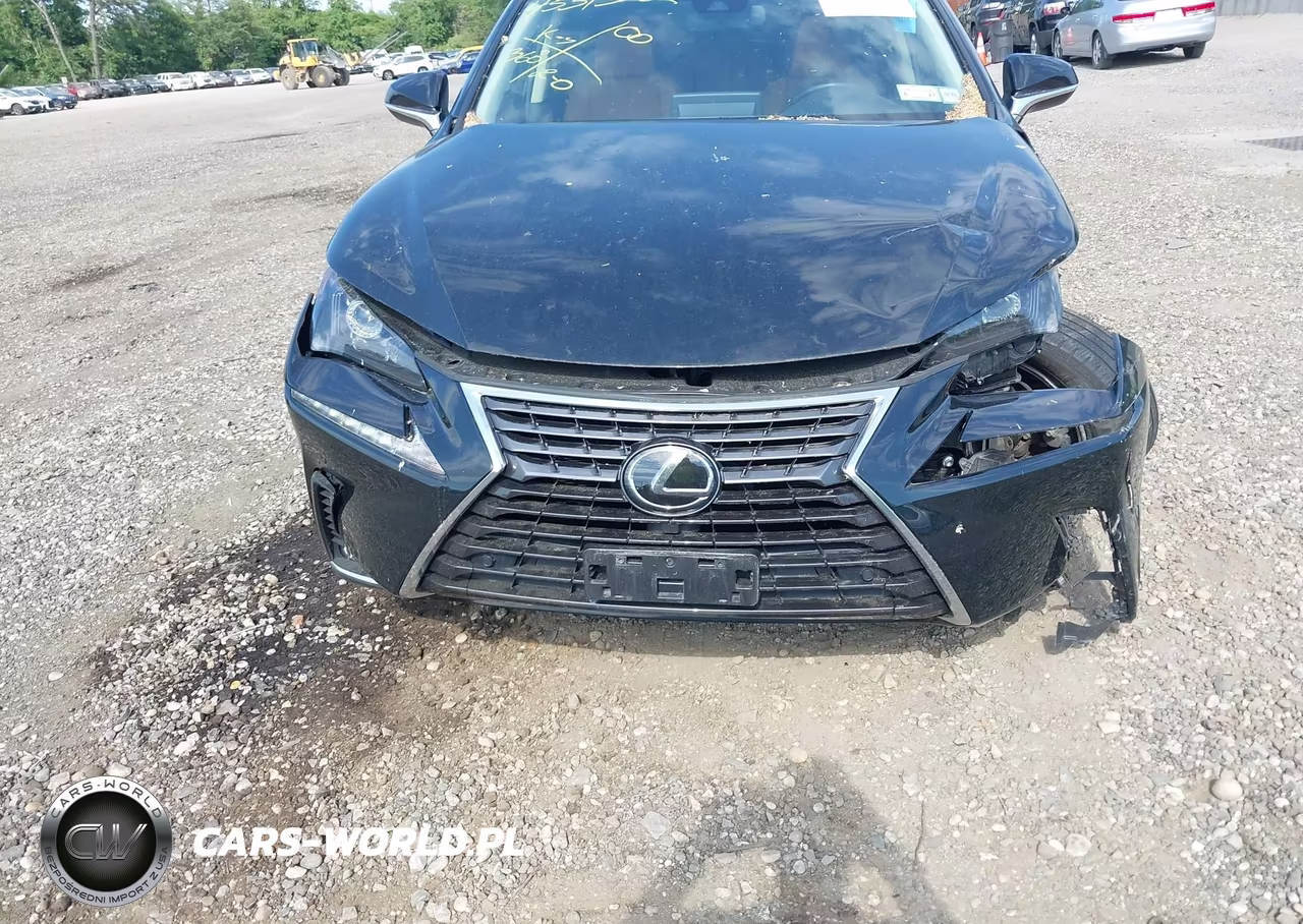 2021 Lexus Nx 300 VIN:JTJDARDZ7M2246045 - 12