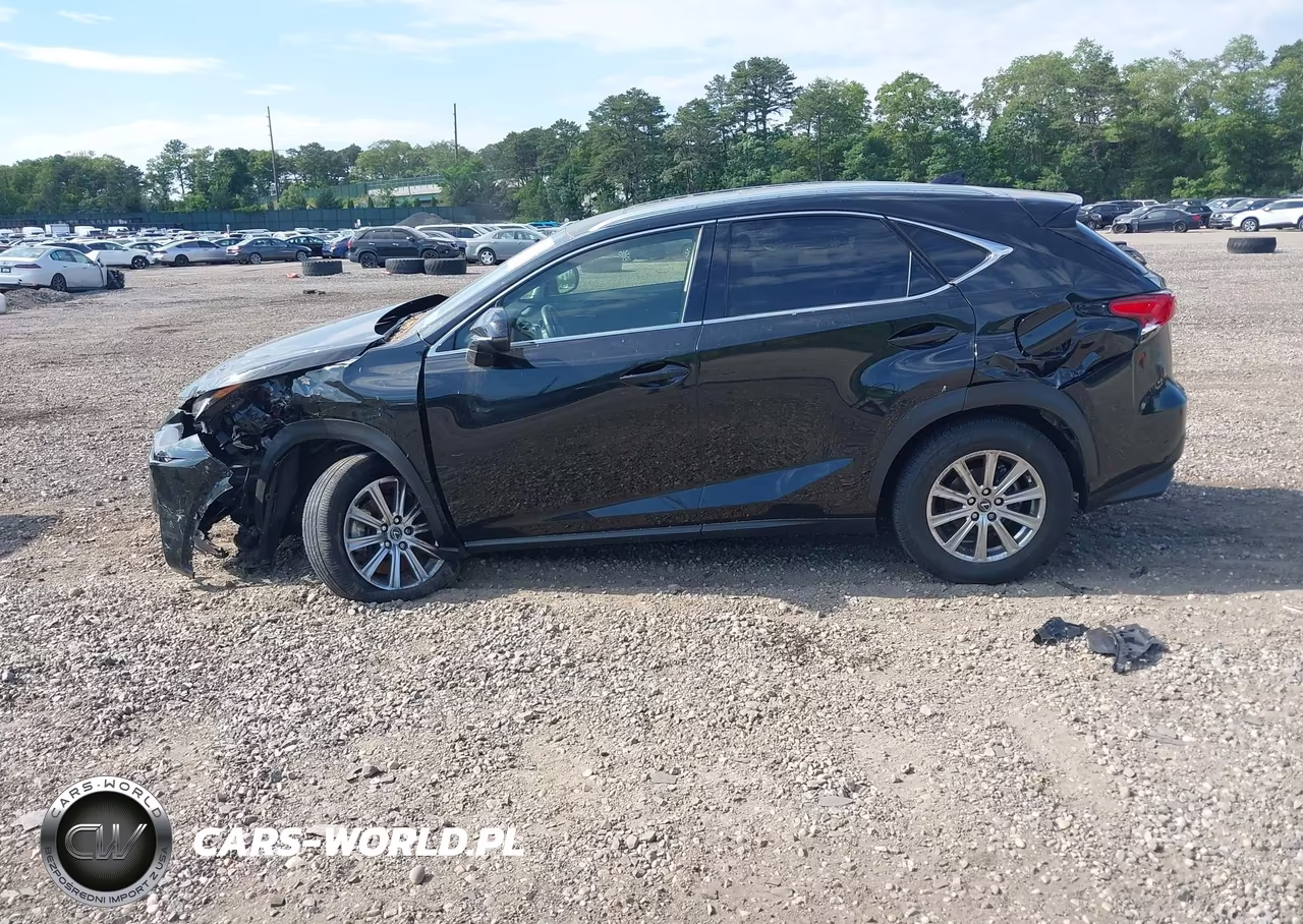 2021 Lexus Nx 300 VIN:JTJDARDZ7M2246045 - 14
