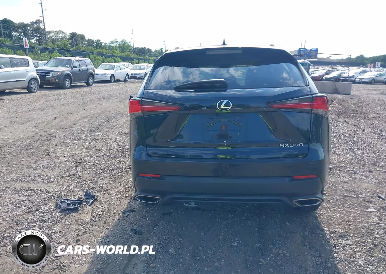 2021 Lexus Nx 300 VIN:JTJDARDZ7M2246045 - 16