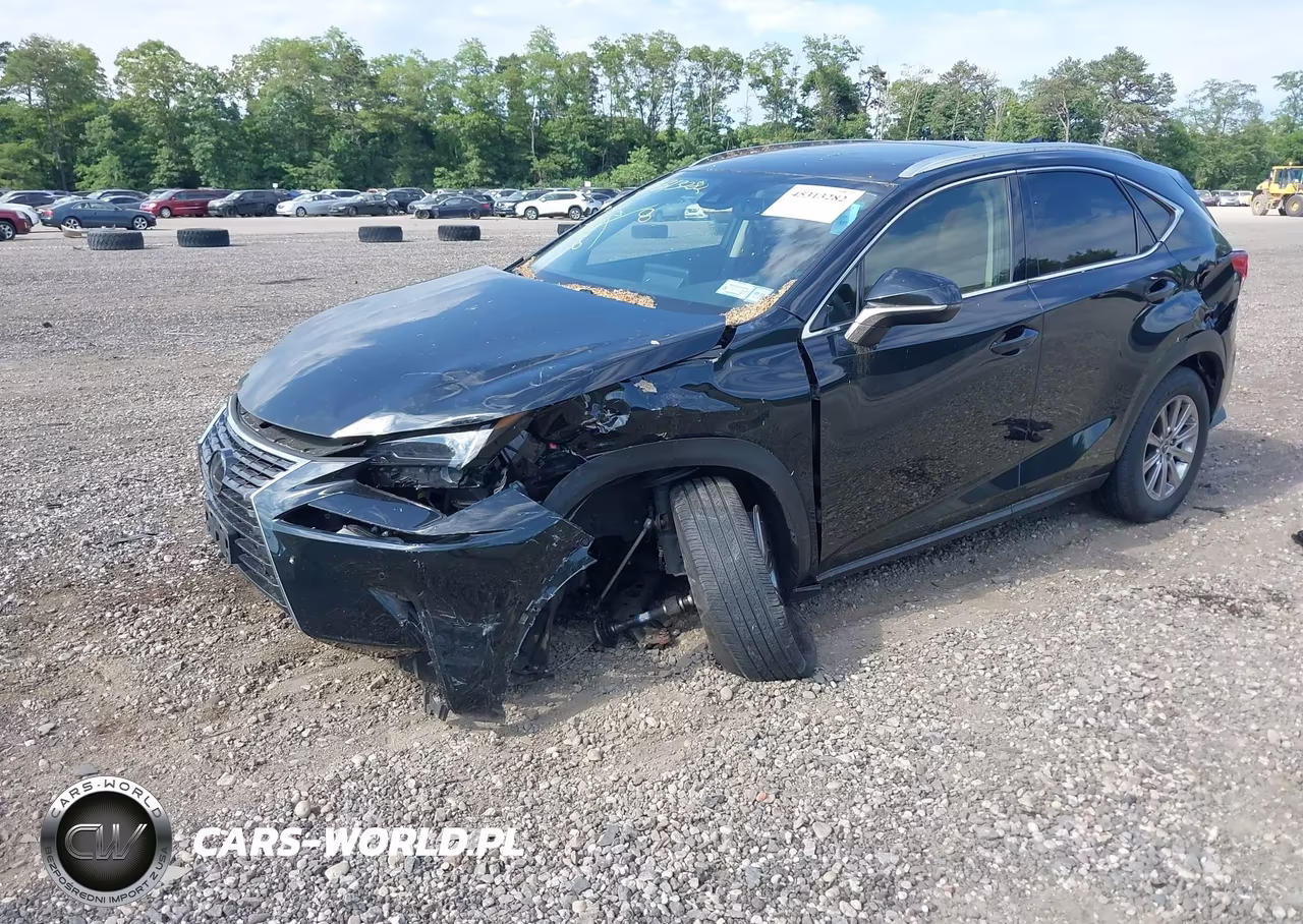 2021 Lexus Nx 300 VIN:JTJDARDZ7M2246045 - 2